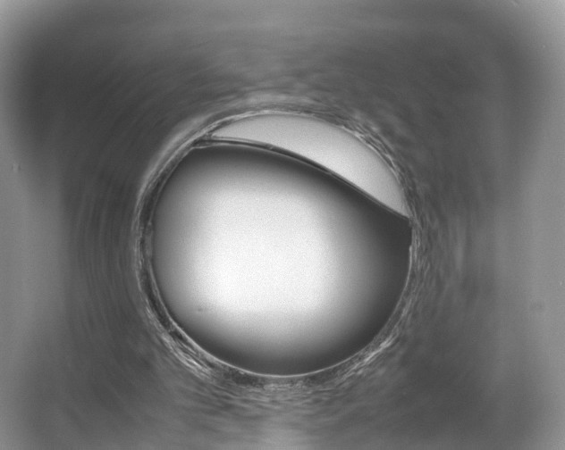 X0000067340101200603310935