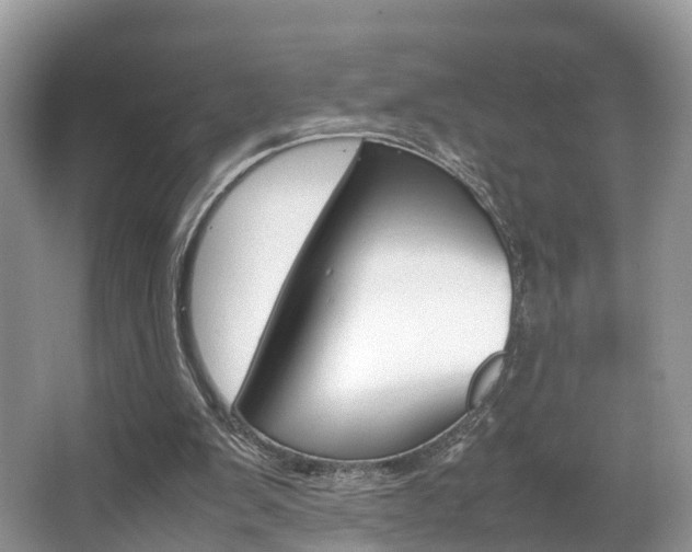 X0000067340103200603310935