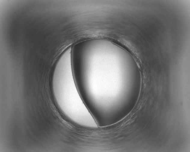 X0000067340105200603310935