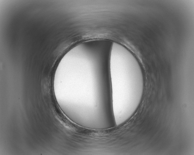 X0000067340107200603310935