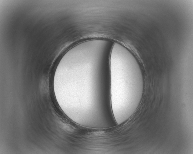 X0000067340108200603310935