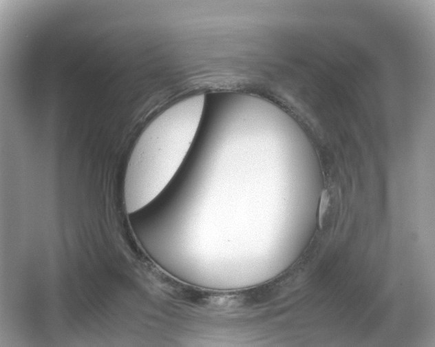 X0000067340117200603310934