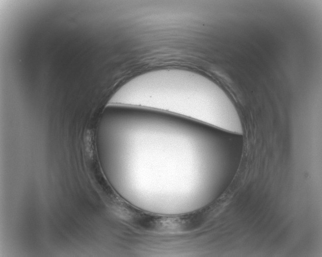 X0000067340121200603310934