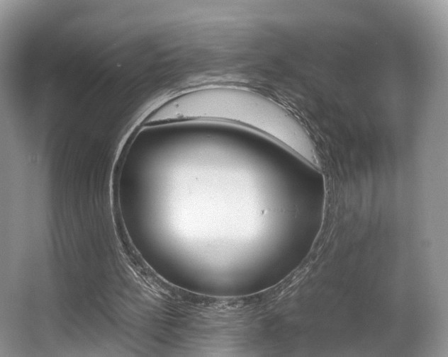 X0000067340148200603310933