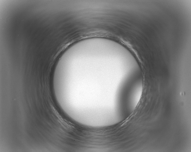 X0000067340154200603310933