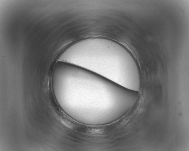 X0000067340157200603310933