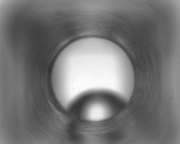 X0000067340164200603310934