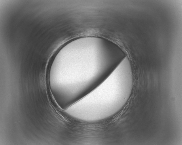 X0000067340196200603310933