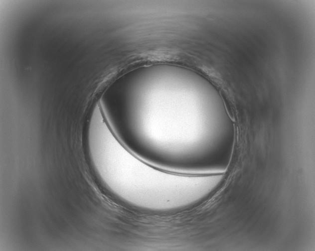X0000067340201200603310933