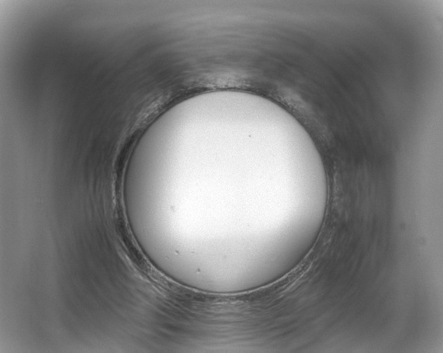 X0000067340202200603310933