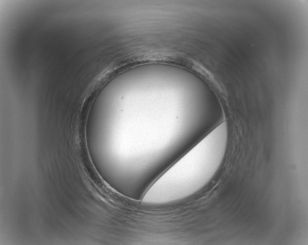X0000067340203200603310933