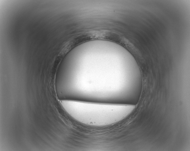 X0000067340209200603310933