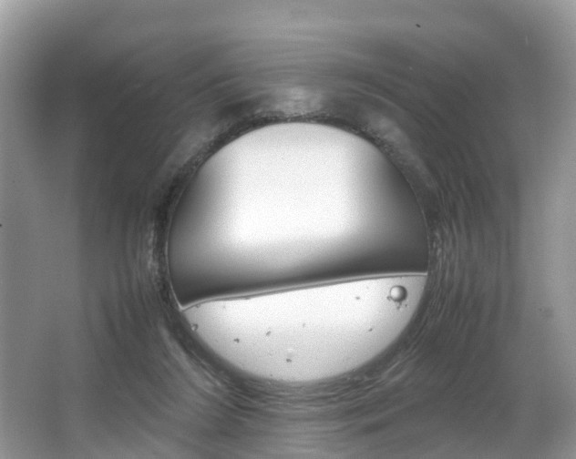 X0000067340212200603310933