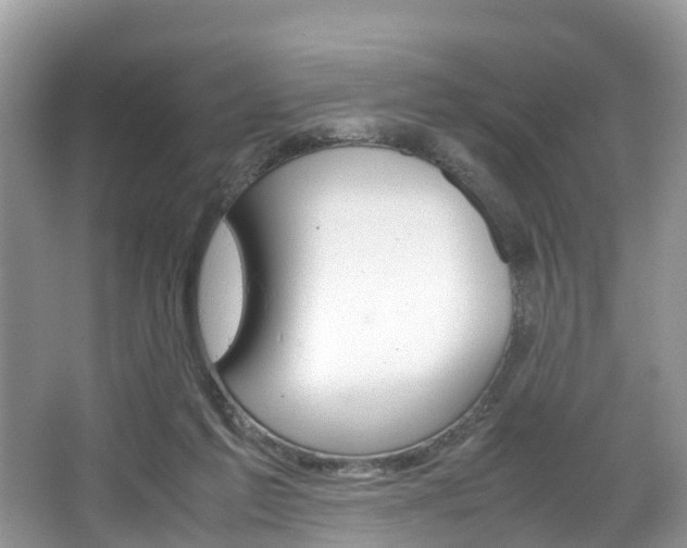 X0000067340213200603310933