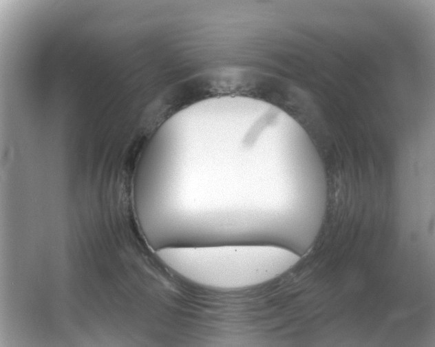 X0000067340226200603310933