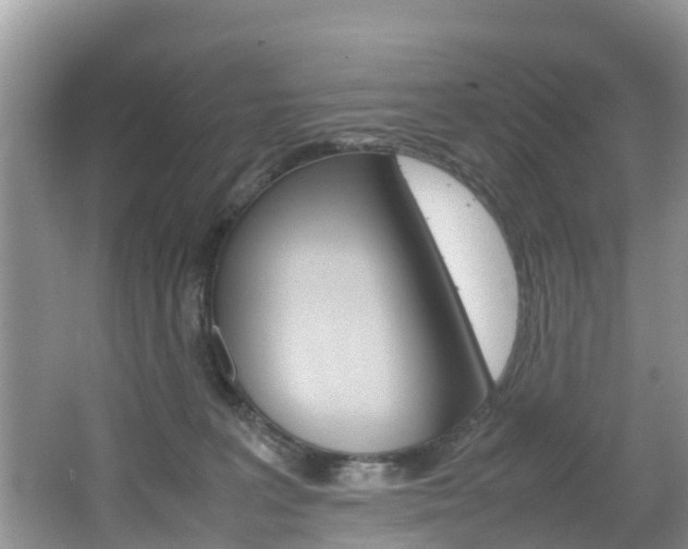 X0000067340227200603310933
