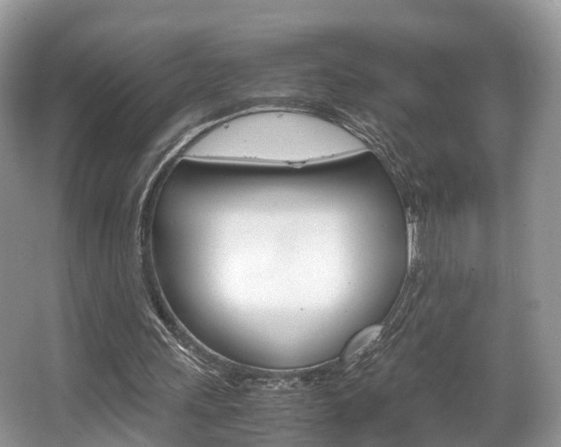 X0000067340243200603310932