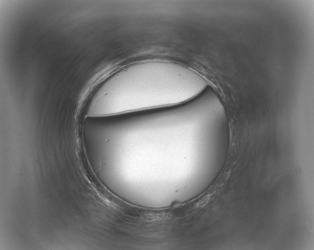 X0000067340245200603310932