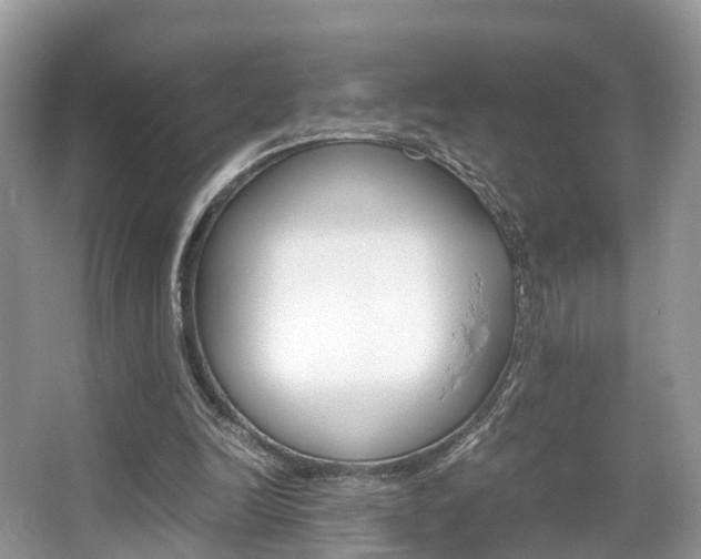 X0000067340246200603310932