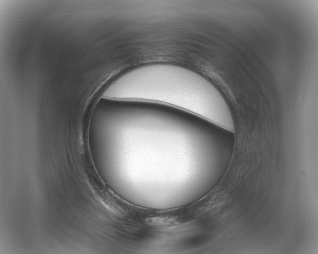 X0000067340251200603310932