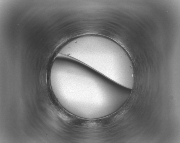 X0000067340253200603310932