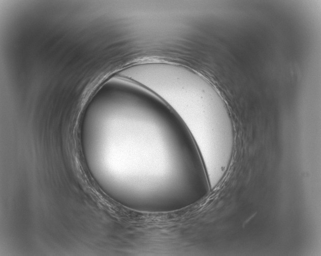 X0000067340289200603310932
