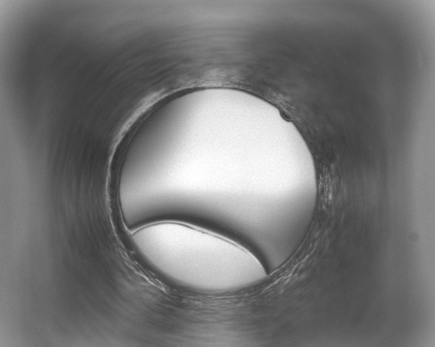 X0000067340292200603310932