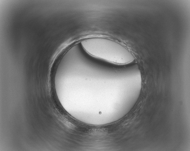 X0000067340296200603310931