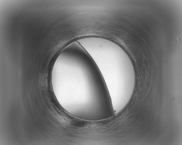 X0000067340299200603310931