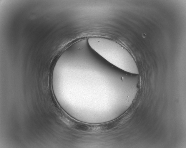 X0000067340301200603310931