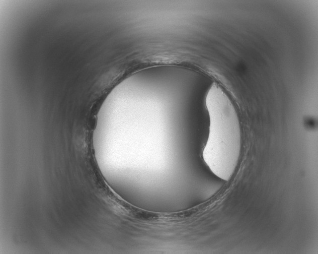 X0000067340305200603310931