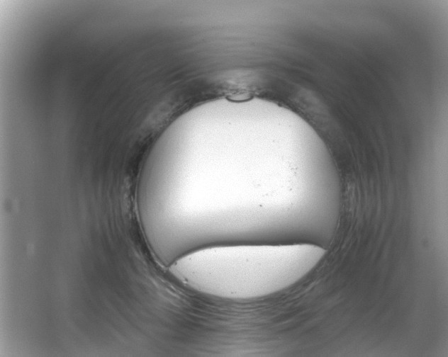 X0000067340318200603310931