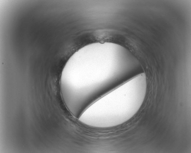 X0000067340319200603310931