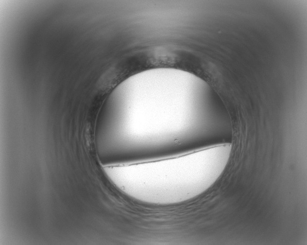 X0000067340323200603310931
