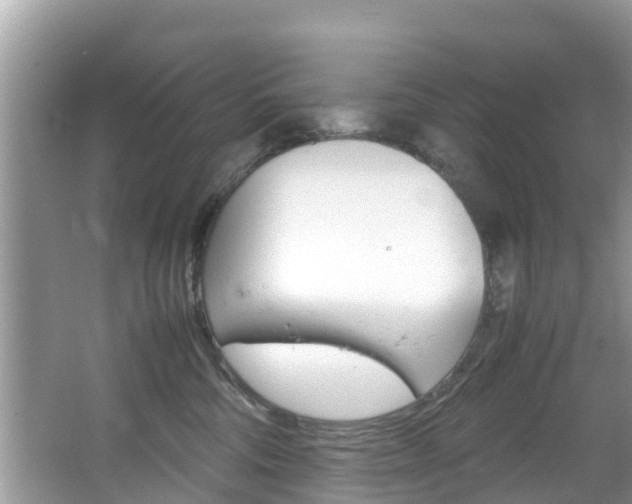 X0000067340330200603310931