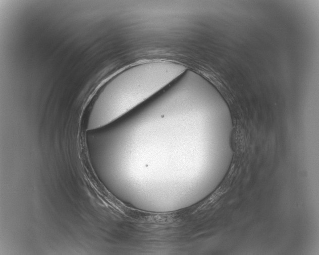 X0000067340338200603310930