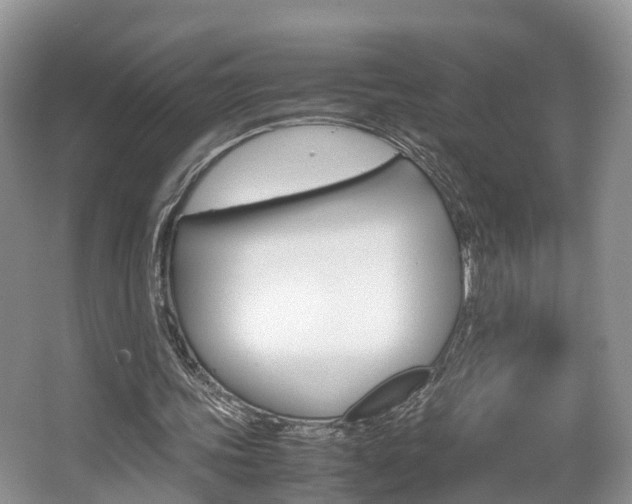 X0000067340339200603310930