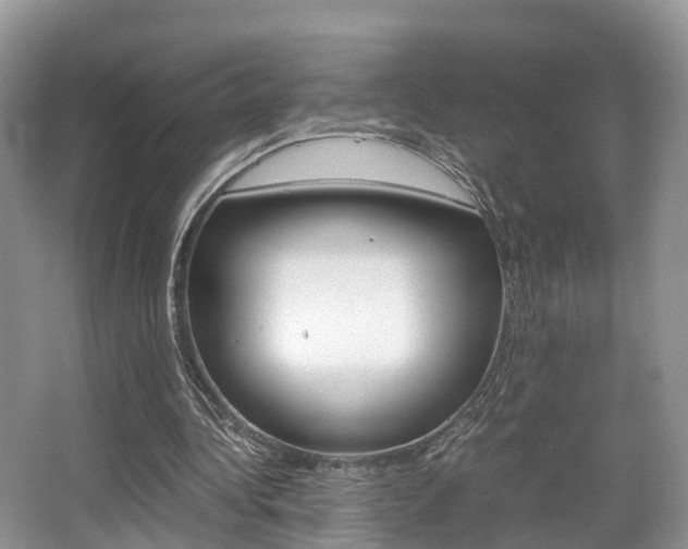 X0000067340340200603310930