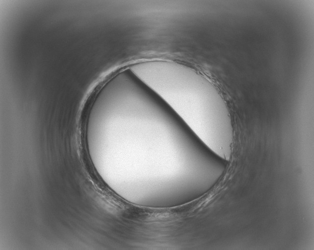 X0000067340342200603310930