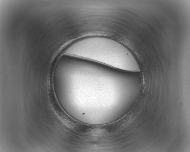 X0000067340348200603310930