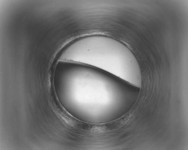 X0000067340350200603310930
