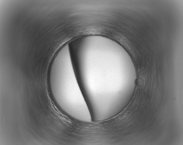 X0000067340386200603310930