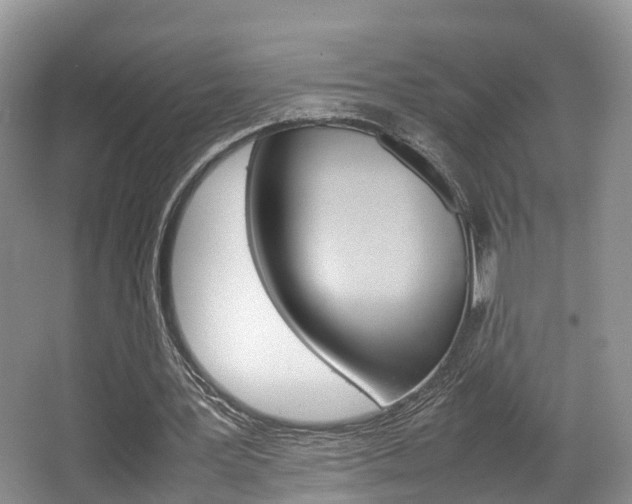 X0000067340387200603310930