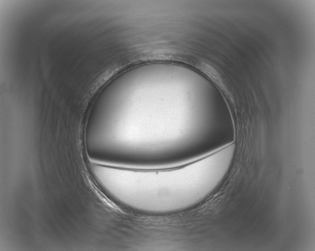 X0000067340389200603310930