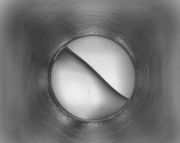 X0000067340394200603310930