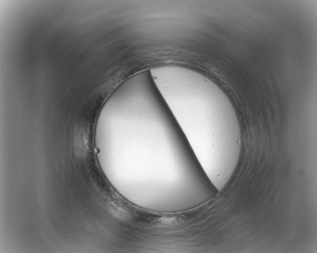X0000067340406200603310930