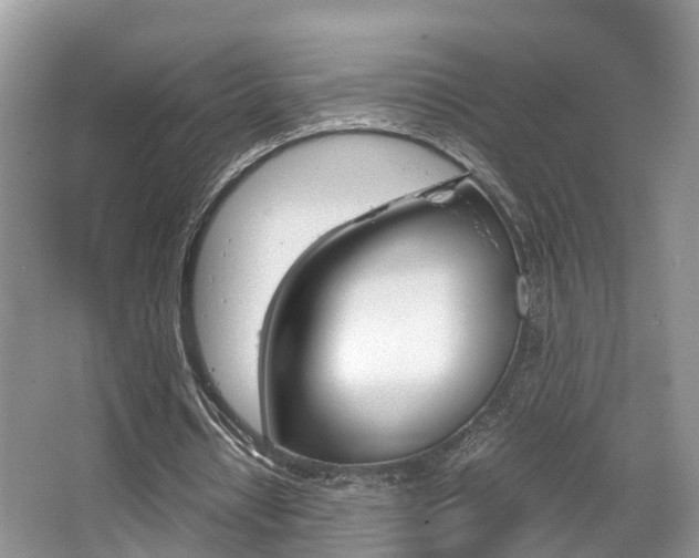 X0000067340434200603310928