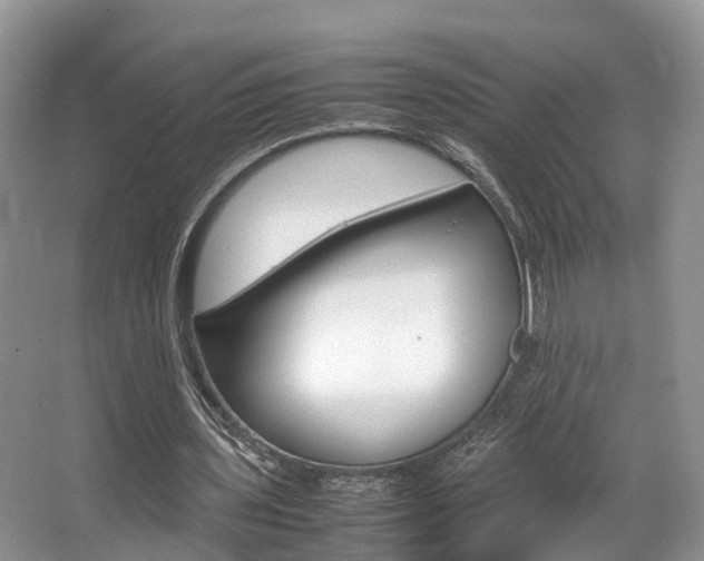 X0000067340435200603310928