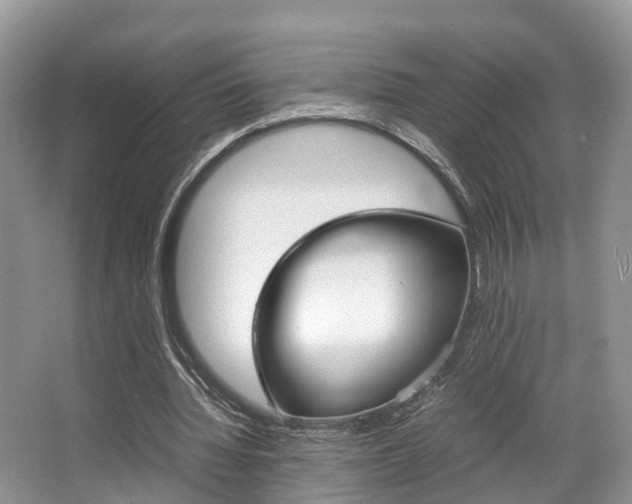 X0000067340436200603310928
