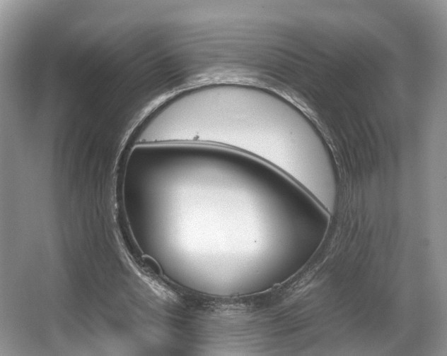 X0000067340438200603310928